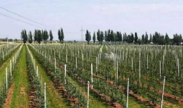 GAP認(rèn)證未來(lái)發(fā)展，這五個(gè)趨勢(shì)你認(rèn)同嗎？